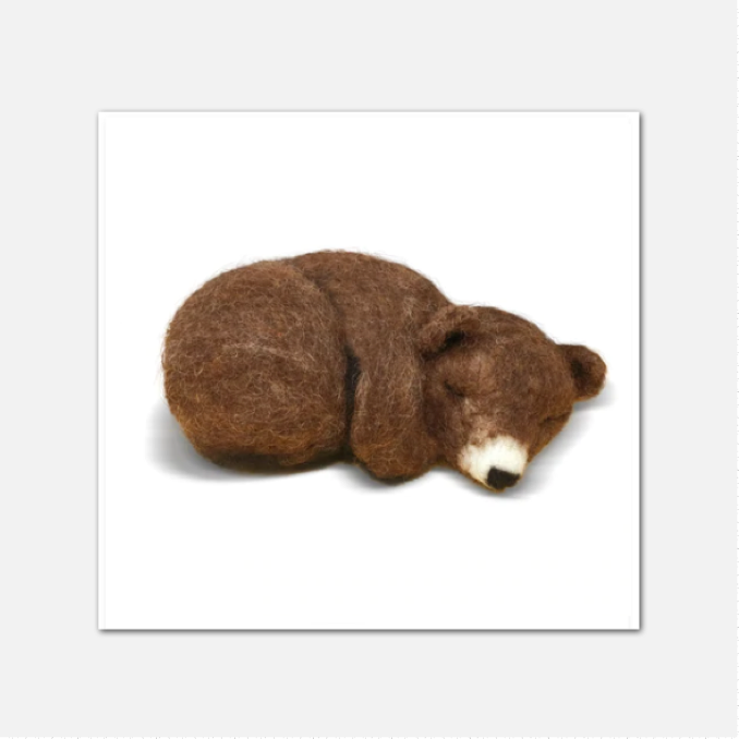 Sleepy Brown Bear Kit